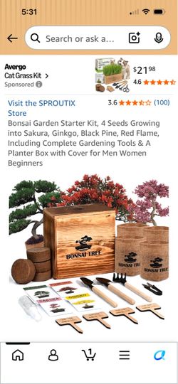 Bonsai trees starter kit