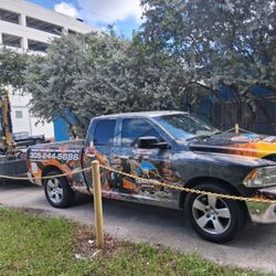 Bobcat Excavadora Volteó 