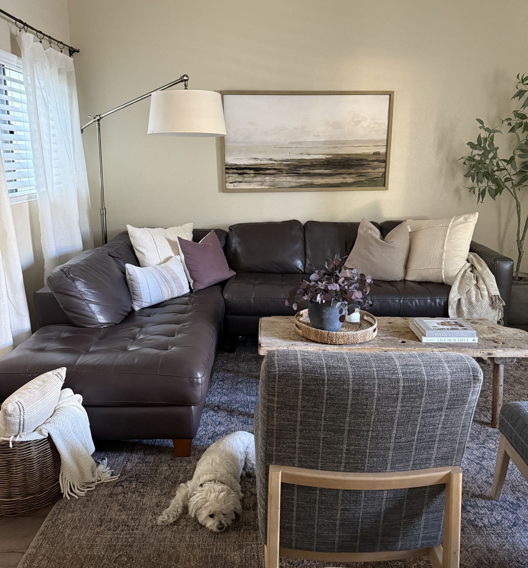 FREE Leather Sectional Couch 