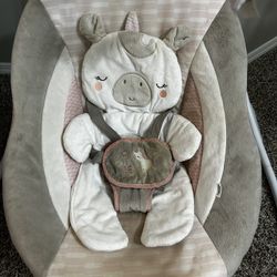 Baby Swing/rocking Kitten
