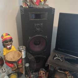 Two Hugh Speakers With Exceptional Sound
