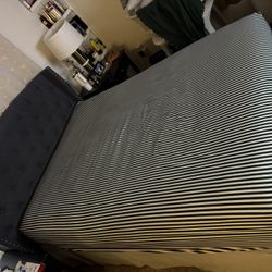 Queen Bed And Mattress 
