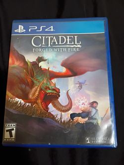 Citadel forged in fire ps4
