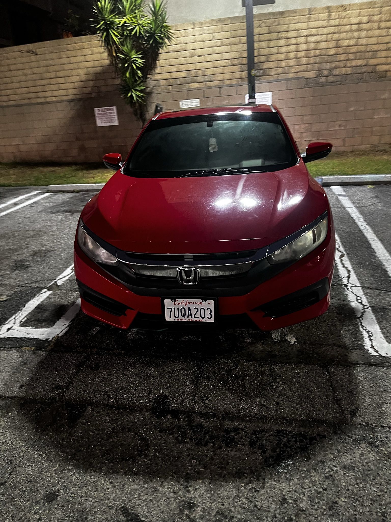 civic front bumper red