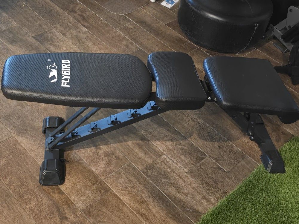 Fly Bird Adjustable Bench