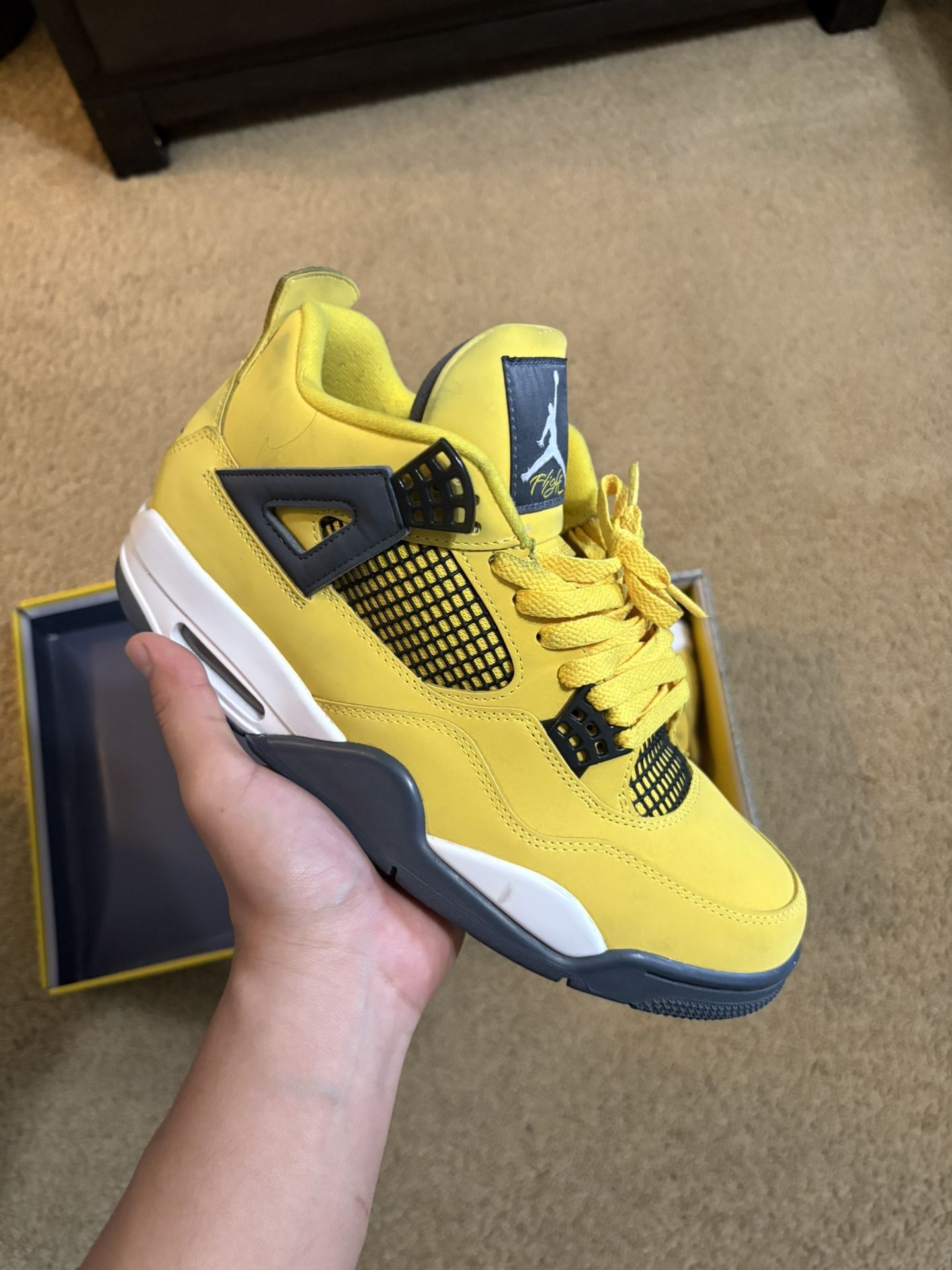 Jordan Lighting 4s 