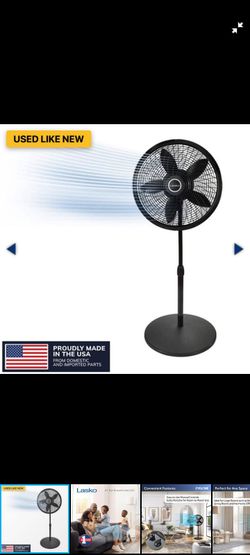 Fan