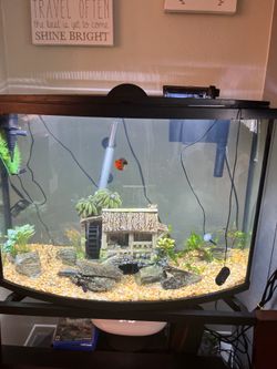 36 gallon tank and stand