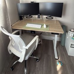 Standing Desk & Monitors