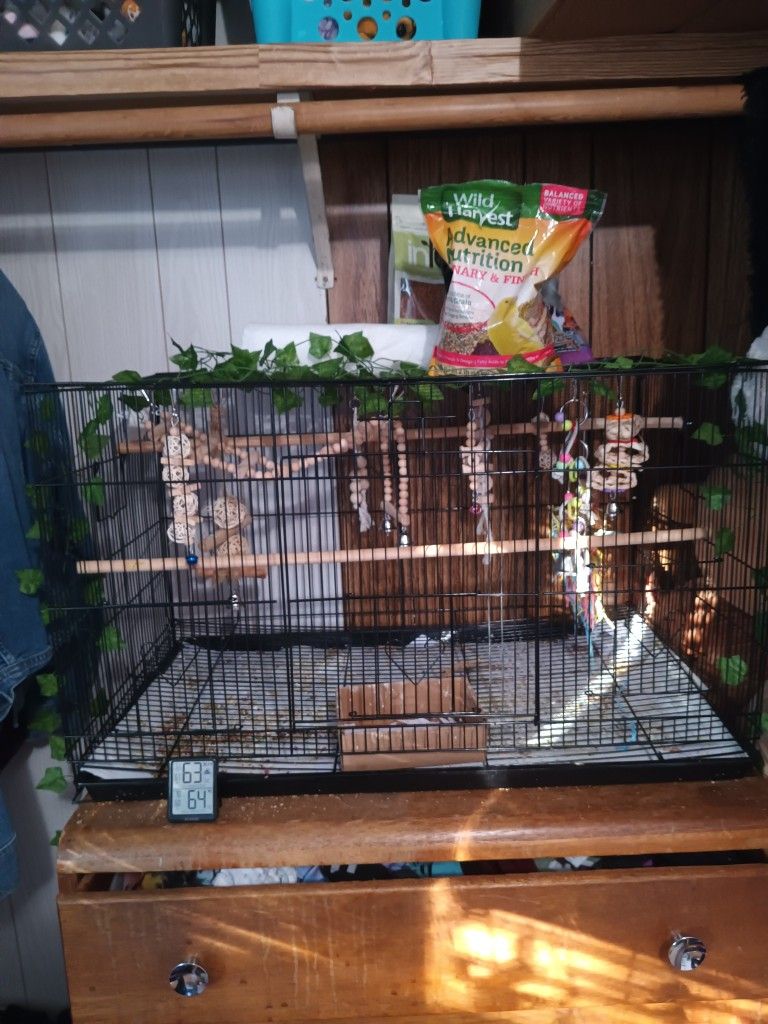 Bird Cage For Sale