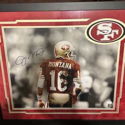 Joe Montana Signed Back Photo