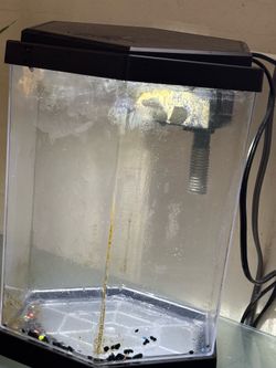 Fish tank Gallon and a half
