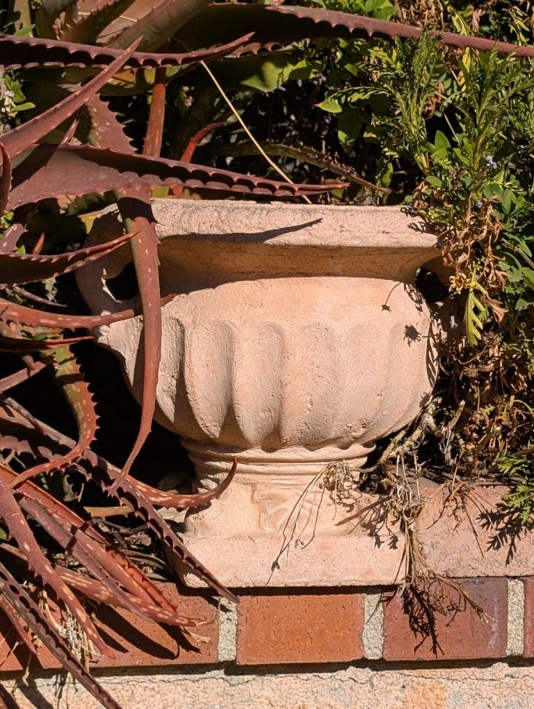 Plant Pot.  Planter. 