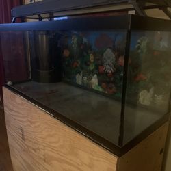 75 Gallon Fish Tank