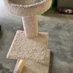 Cat Tree & Mat