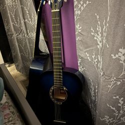 Blue “Rogue” Guitar Bought Online From Guitar Center