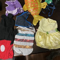 mixed lot dog clothing, harness’s, costumes. all size large. 