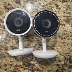 Nest Cameras 