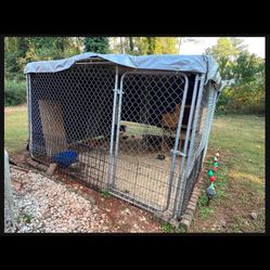 Kennel