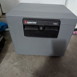 Sentry 1180 Safe