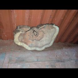 LARGE SLICES OF WOOD 