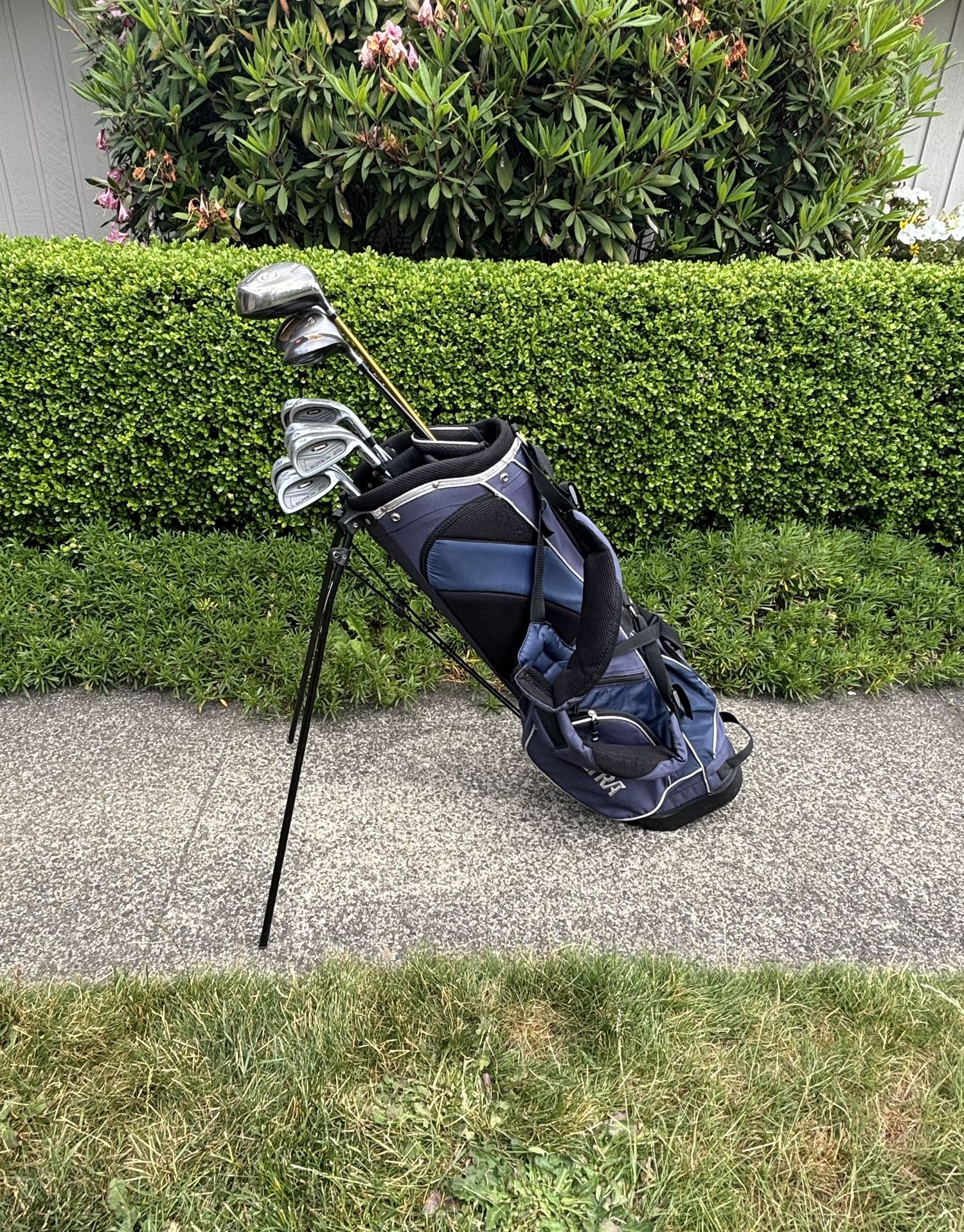 Golf Clubs Set