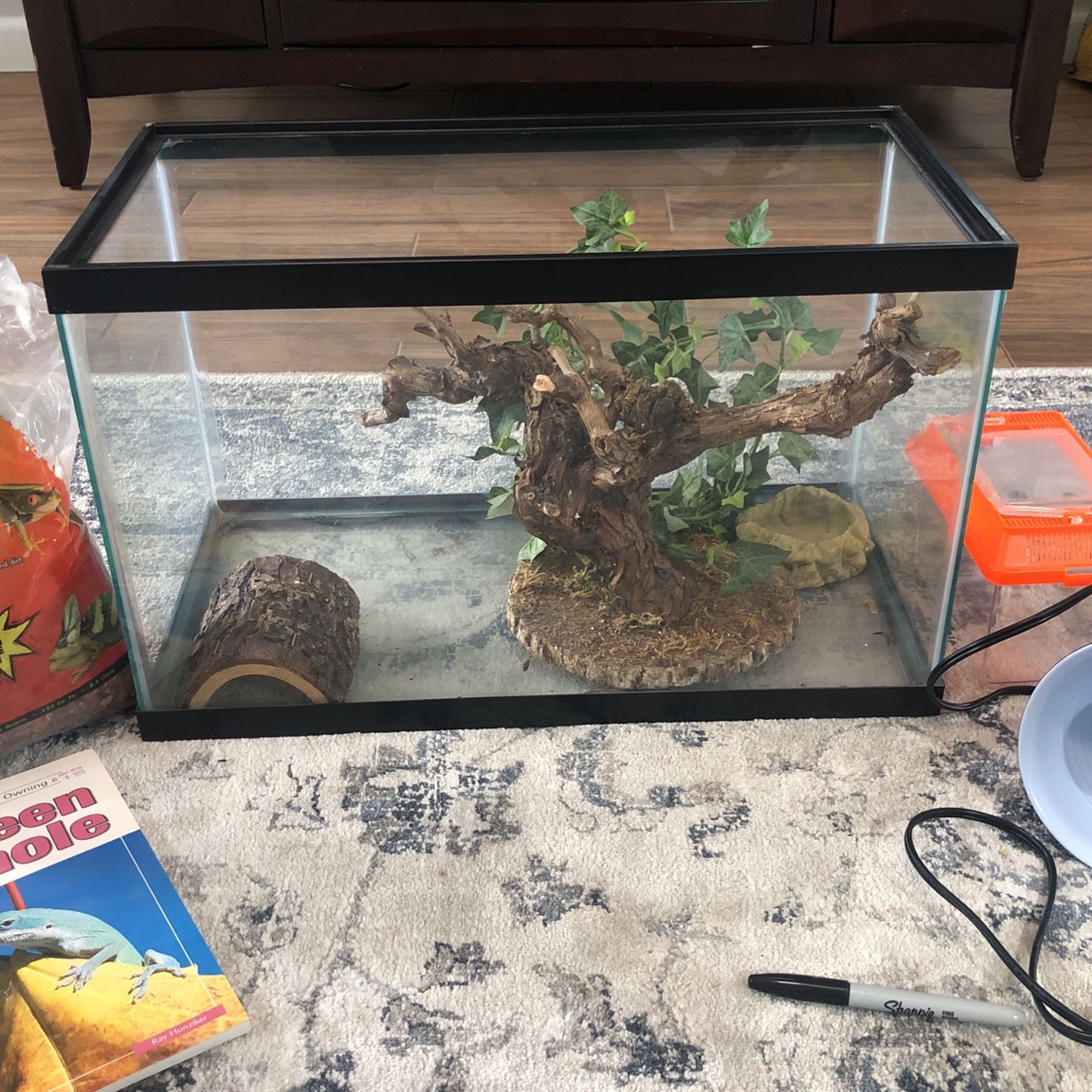 Reptile Starter Kit