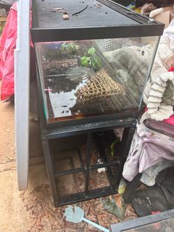 Five Reptile Enclosures