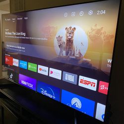 Sony 65” TV