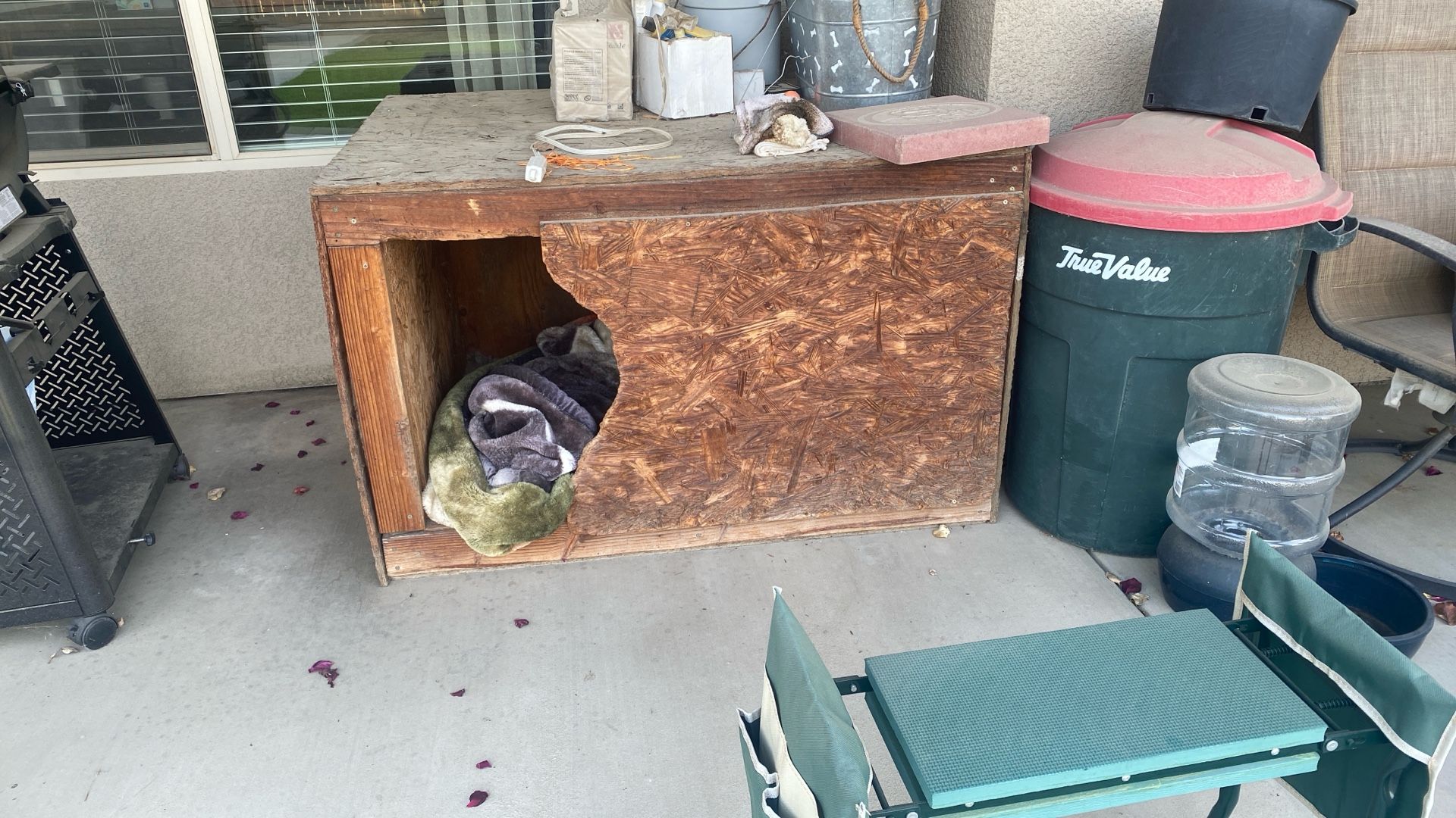 Dog House