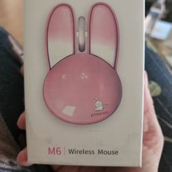 Brand New Wireless Mouse For Mac
