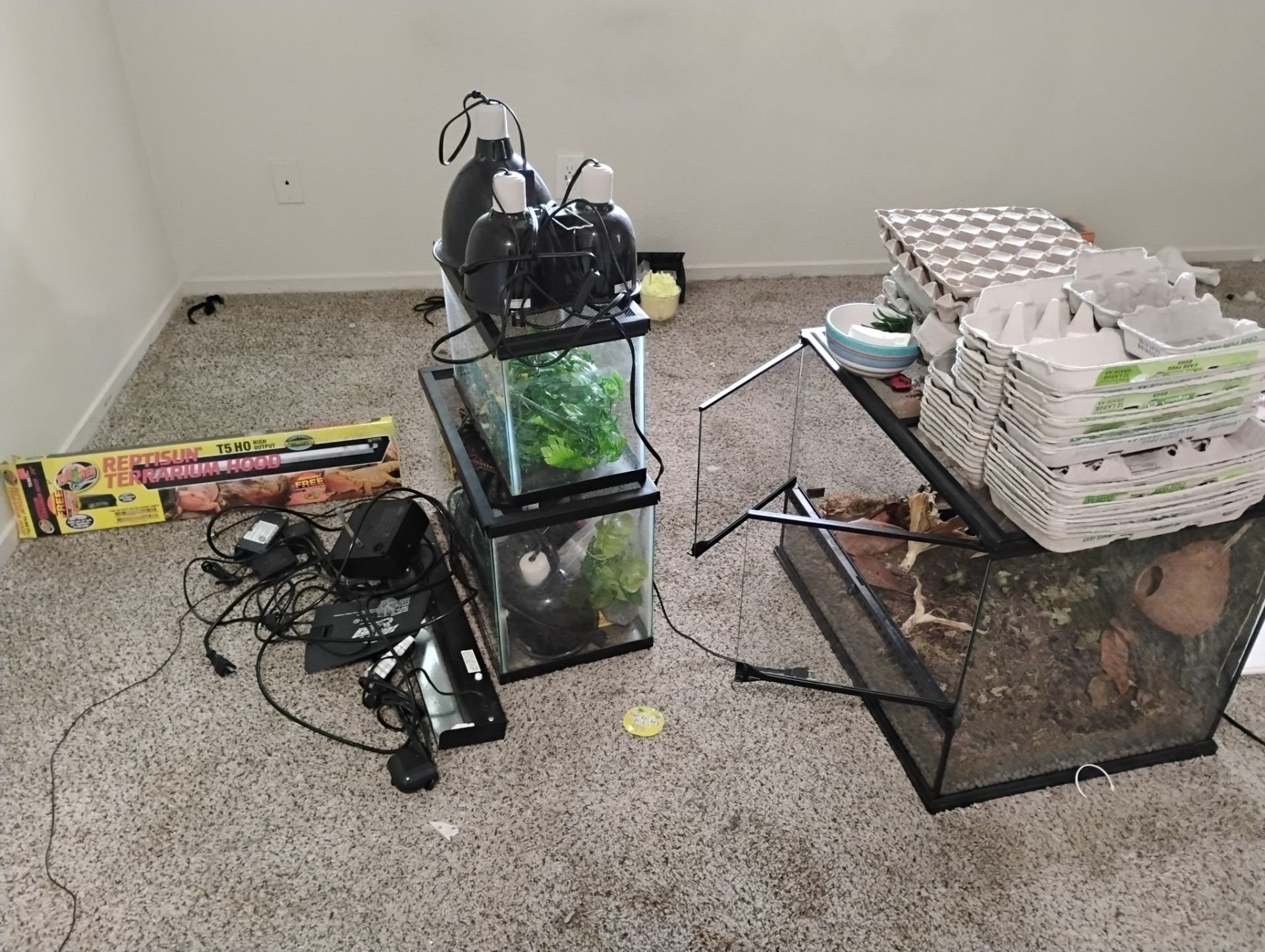 Reptile cages3 plus accessories $125