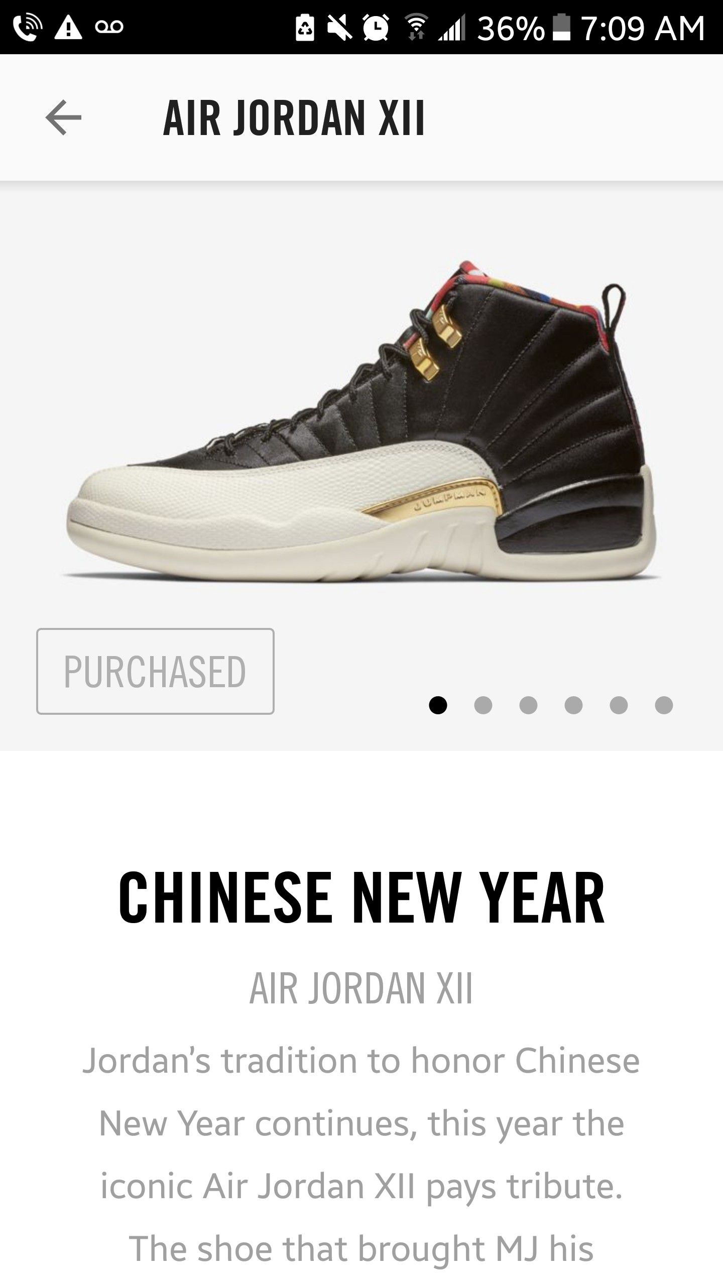 Chinese New Year Jordans 12