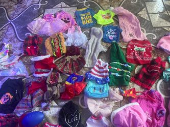 Pet clothing 50 piece all for $25