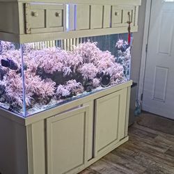 150 Gallon Saltwater Tank W/ stand