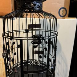 Bird Cage 