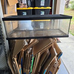 Terrarium tank