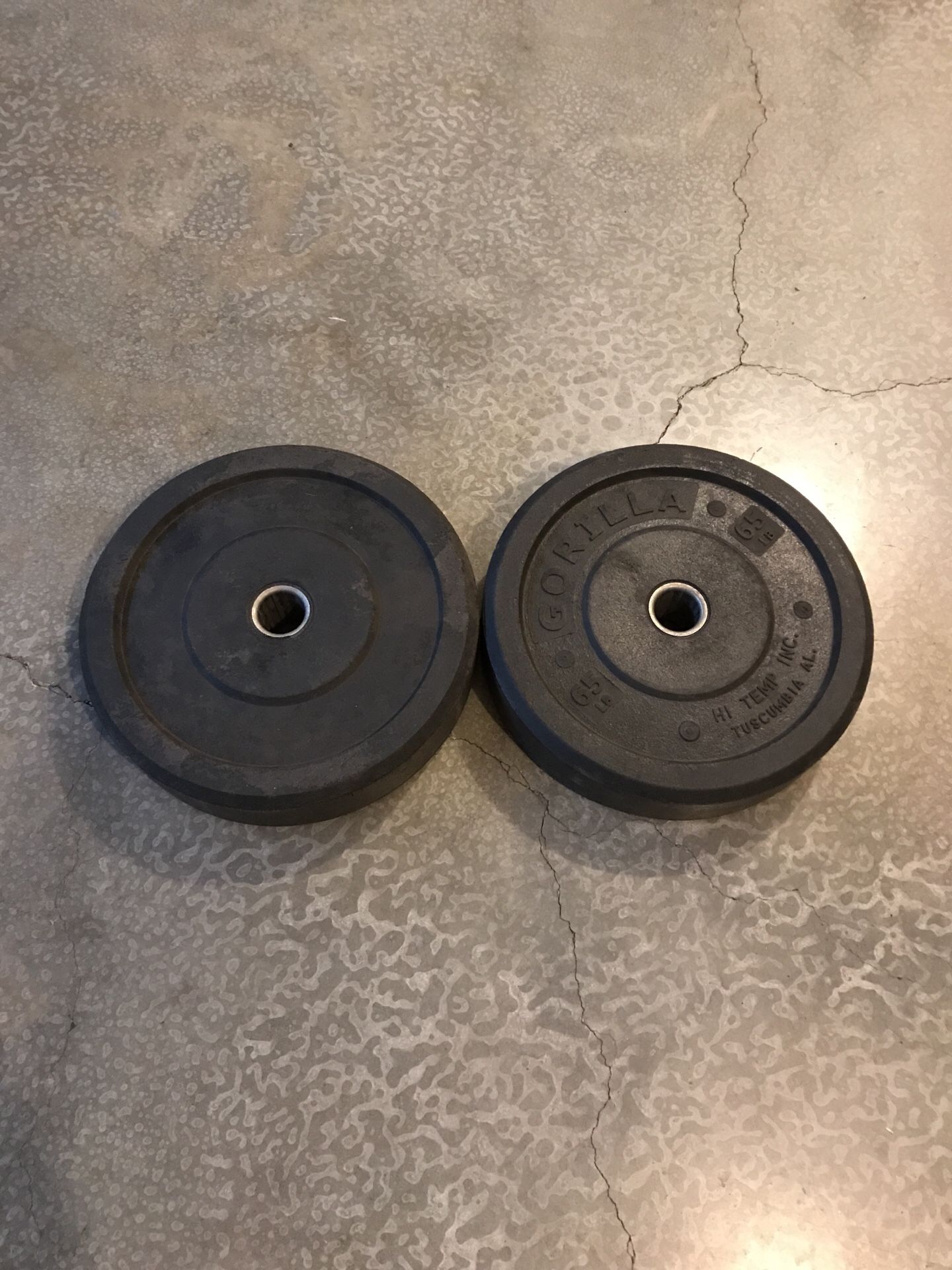 Rogue 65LB Gorilla Bumper Weight Plates