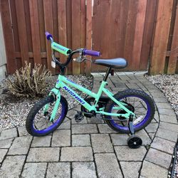 Nishiki Kids Racer Bike 