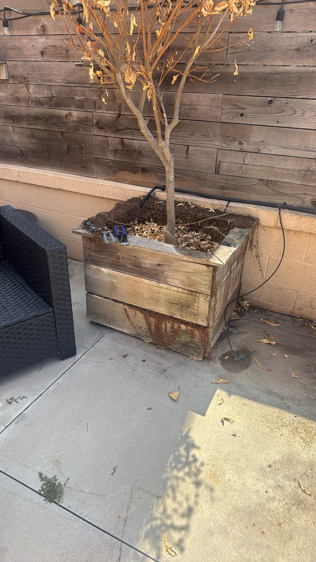 Free Flower Pots