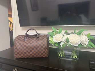 Louis Vuitton speedy