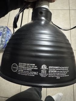 Reptile Lamp