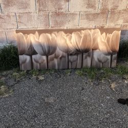 Canvas Picture Frame 