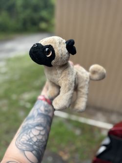 Pug Webkinz