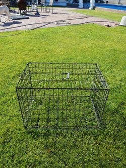 Dog Cage 