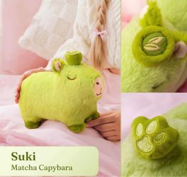 Capyera Matcha and Orange plushies set