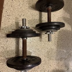 35lbs Dumbbells Pair