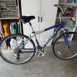 Raleigh Comfort Bike 