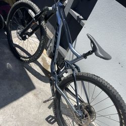 2021 Giant Stance 2 in 29”