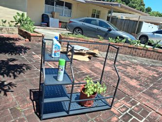 Shelf  para  plantas  lavanderia